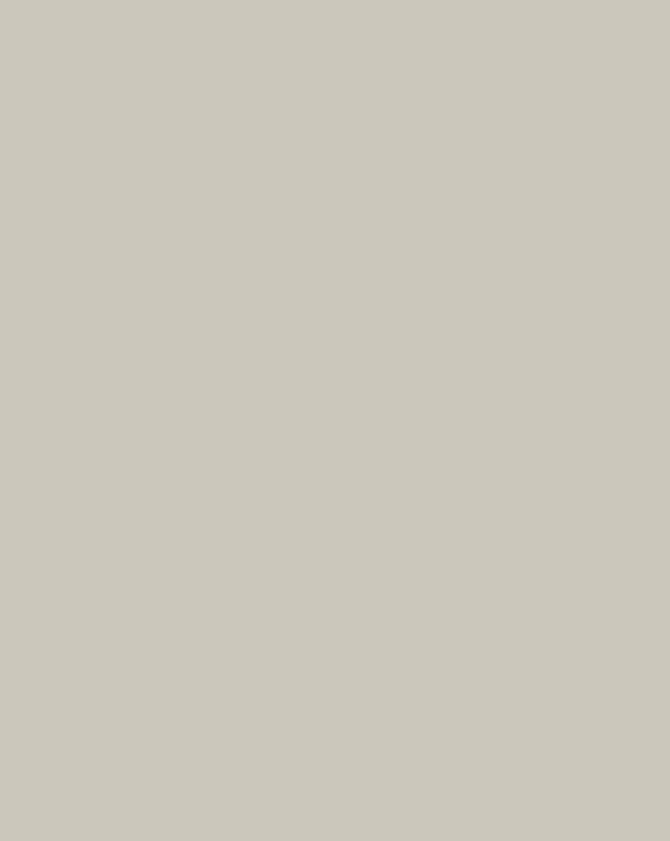 Επένδυση τοίχου SPC Rocko 5981 Cashmere