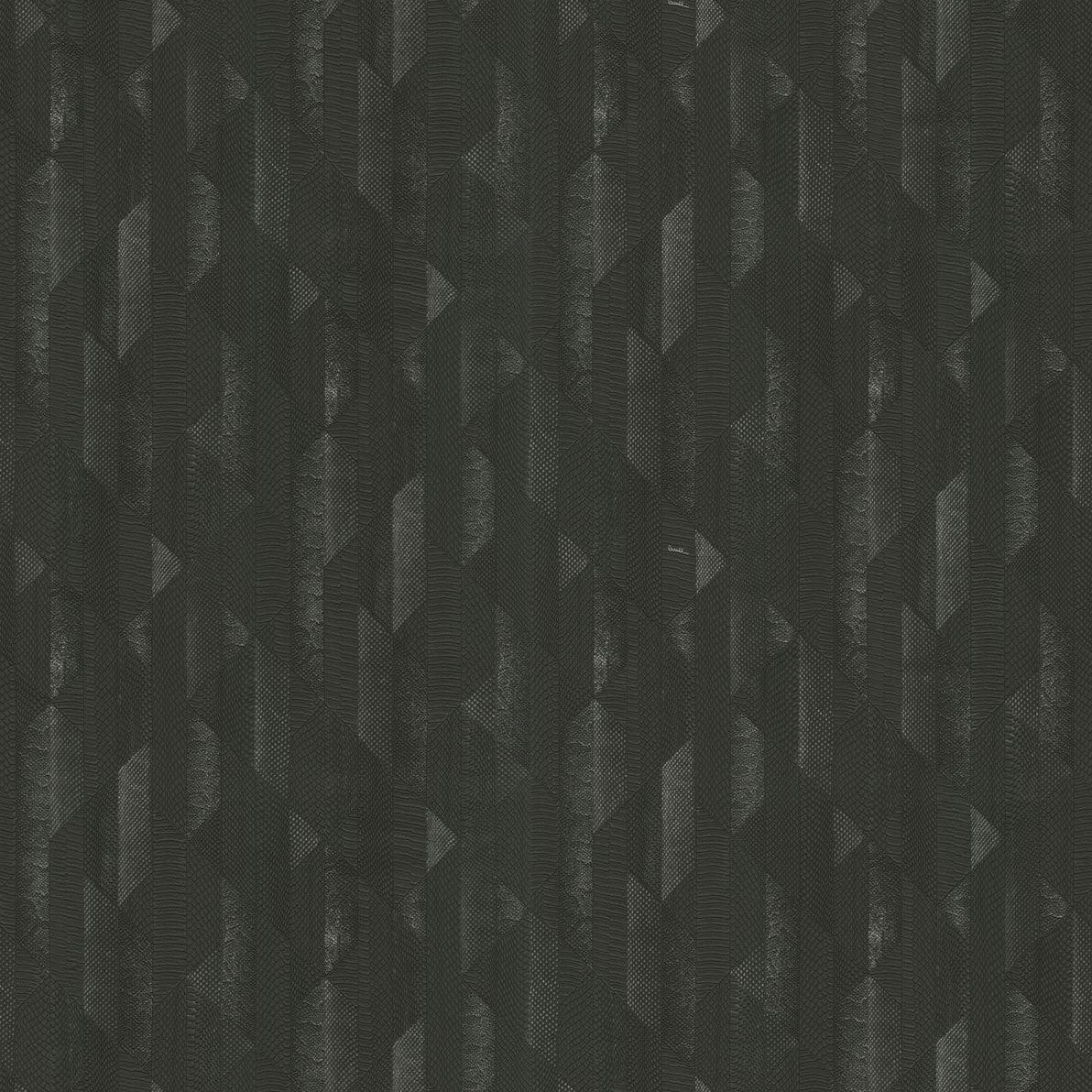 Ταπετσαρία Τοίχου Roberto Cavalli - RC19067